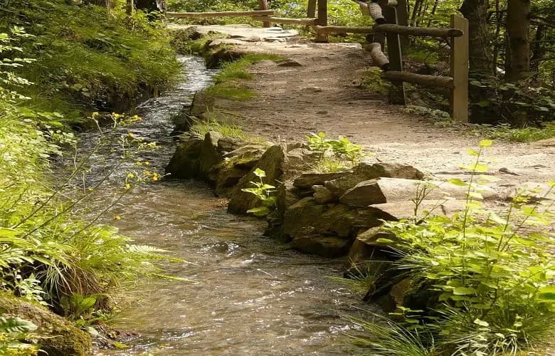 How To Divert Water Runoff From Neighbor's Yard { 5 Easy Ways}